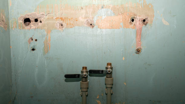 Water damage restoration mold remediation in Caldwell, OH
